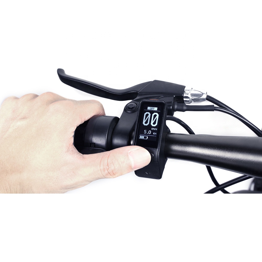 Дисплей для электровелосипеда  – обзор и цена Tech Bike Accessories